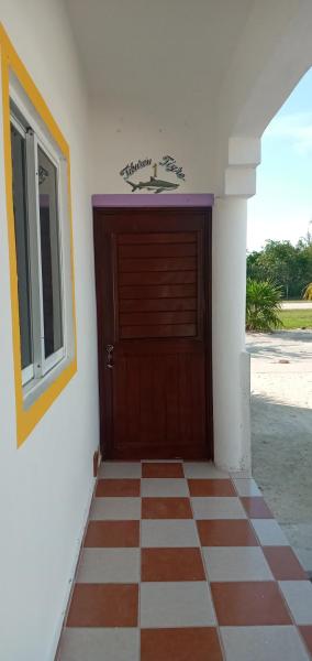 1Tiburón Tigre Squalos Place